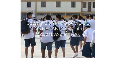 DOMINGO SAVIO DE LOS NARANJOS