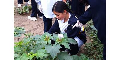 EL UNIVERSO DE LOS ANGELES