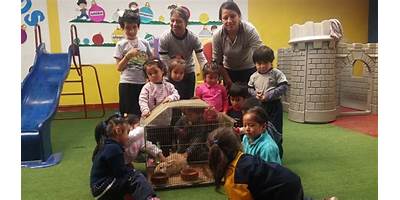 KINDERGARTEN COLIBRI