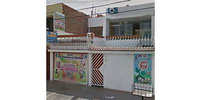 LOS GIRASOLES DE MARANGA