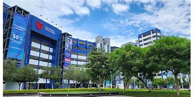 LOS INGENIEROS DE LOS OLIVOS