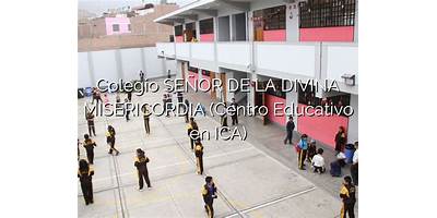 NUESTRO SEÑOR DE LA DIVINA MISERICORDIA