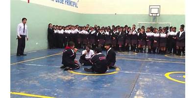 SACO OLIVEROS DE NUEVO SAN JUAN