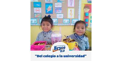 SHERADON BRYCE SCIENCIE SCHOOL