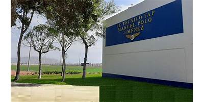 TECNICO FAP MANUEL POLO JIMENEZ