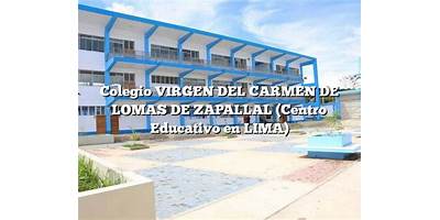 VIRGEN DEL CARMEN DE LOMAS DE ZAPALLAL
