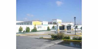 INMORTALIDAD Y CULTURA