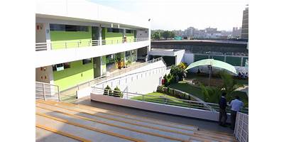 INNOVA SCHOOLS - CHORRILLOS FAISANES