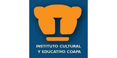 INSTITUTO CULTURAL