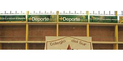 INSTITUTO DEL SUR