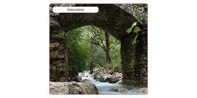 INSTITUTO ESTANZUELA