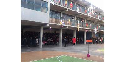 INSTITUTO LIZARDI