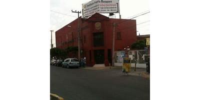 INSTITUTO PATRIA BOSQUES, A.C.