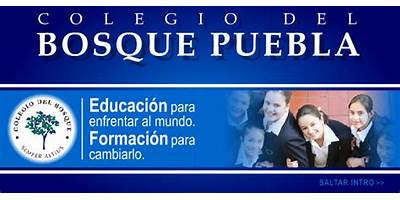 INSTITUTO UNIVERSITARIO PUEBLA PLANTEL FLOR DEL BOSQUE
