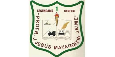 J. JESUS MAYAGOITIA JAIME
