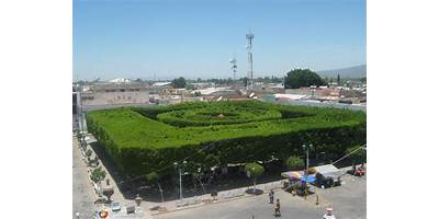 JARDIN DE NIÑOS