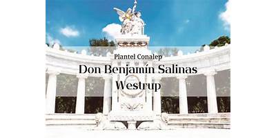 JARDIN DE NIÑOS BENJAMIN SALINAS WESTRUP