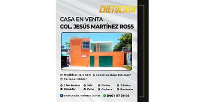 JESUS MARTINEZ ROSS