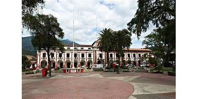 JOSE JUAN FORTINO LOPEZ BARRIENTOS