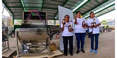 JOSE PEREYRA KASHIARI