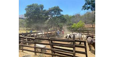 LA BATALLA DE TEXCA