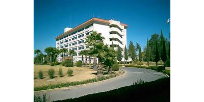 LA CASA DE LOS NIÑOS