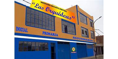 LAS ORQUIDEAS