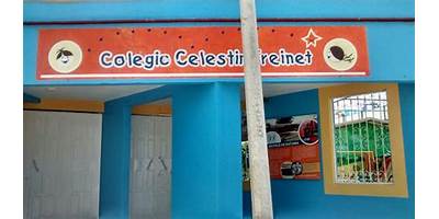 LICEO ANGLO MEXICANO "CELESTIN FREINET"