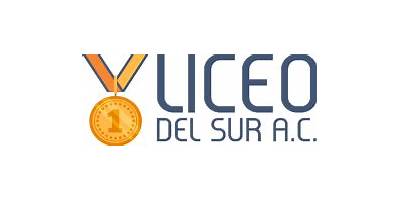 LICEO DEL SUR, A.C.