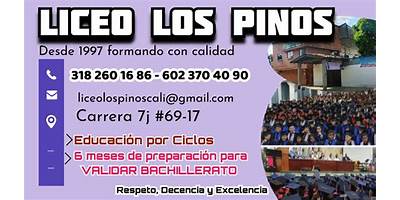 LIDER INGENIEROS UNI