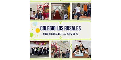 LOS ROSALES - SAN MIGUEL