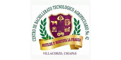 MATILDE P. MONTOYA
