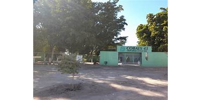 MIGUEL CASTILLO CRUZ