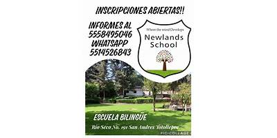 "NEWLANDS SCHOOL"