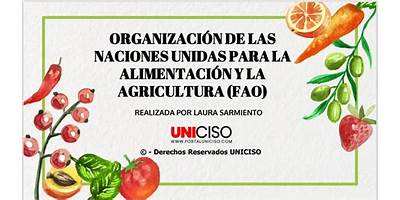 ORGANIZACION DE LAS NACIONES UNIDADES PARA LA AGRICULTURA Y LA ALIMENTACION (FAO)