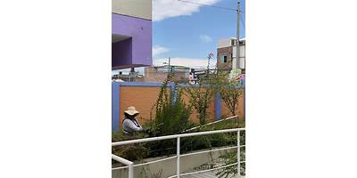 PILOTO MIRAFLORES