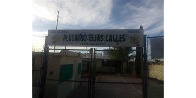 PLUTARCO ELIAS CALLES