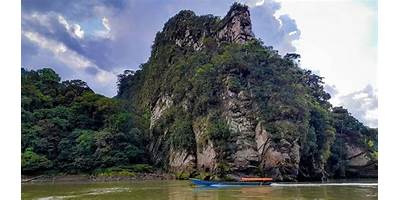 PONGO DE MAYNIQUE DE PACHIRI