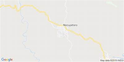 PRIMARIA COMUNITARIA EL MANGUITO