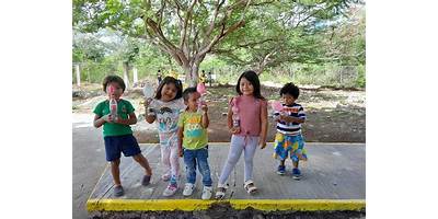 PRIMARIA COMUNITARIA