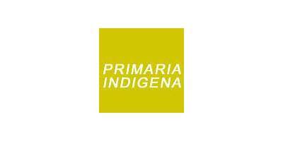 PRIMARIA CONAFE INDIGENA