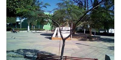 PROFESOR MANUEL VALDERRAMA