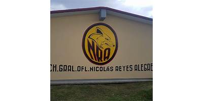 PROFESOR  NICOLAS REYES ALEGRE