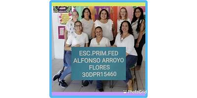 PROFR. ALFONSO ARROYO FLORES