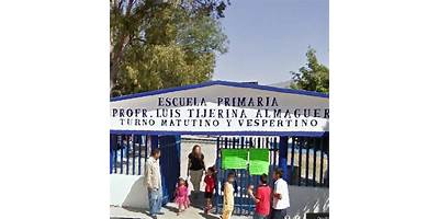 PROFR. LUIS TIJERINA ALMAGUER