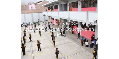SACO OLIVEROS DE LOS CIPRESES