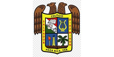 SALVADOR DIAZ MIRON