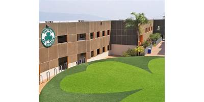 SAN PATRICIO INTERNATIONAL SCHOOL