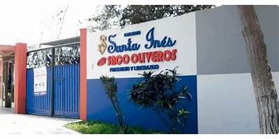 SANTA INES SACO OLIVEROS