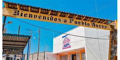 SECUNDARIA COMUNITARIA